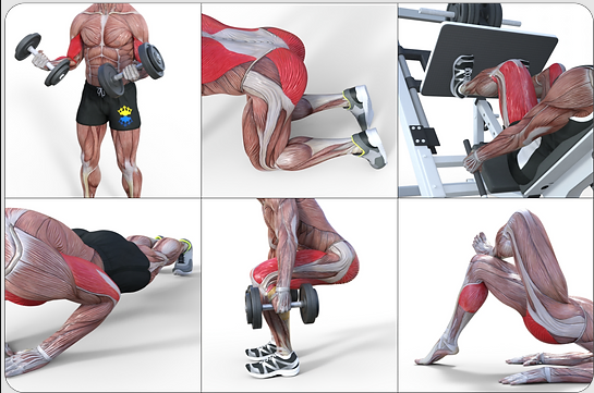 Grid of 4K exercise tutorial videos in the PT Pro library