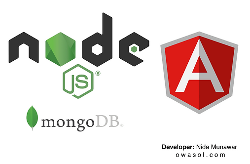 The platform technology stack: Node.js, Angular and MongoDB